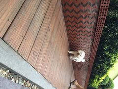 iphone_upload_pic-铁路文化公园