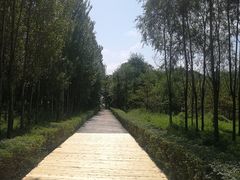 -农垦当壁镇兴凯湖旅游度假区