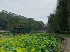 -西南交通大学(峨眉校区)