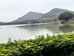 -顺峰山公园