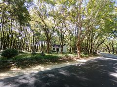 -东湖落雁景区