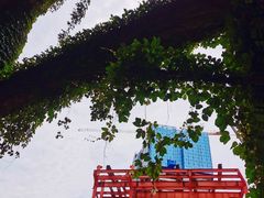 -厦门邮轮中心厦鼓码头(轮渡站)
