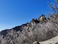 -北京凤凰岭