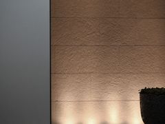 -上海柏悦酒店