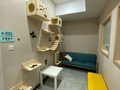 -瑞派名望24h动物医院异宠专科·猫专科·骨科·重症监护分院