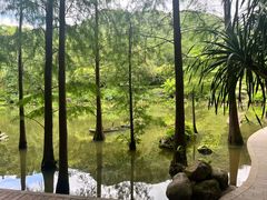 -深圳仙湖植物园
