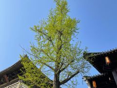 -香积寺