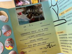 -艾贝尔宠物医院·24H转诊中心·肿瘤猫专科(江宁双龙店)