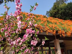 -广州市白云山风景名胜区