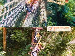 -西双版纳原始森林公园