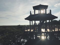 -北海金海湾红树林生态旅游区