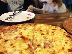 -百好乐宠物友好餐厅(朝外大街店)