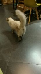 -隅日式美甲美睫專門店