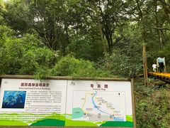 -广州市石门国家森林公园