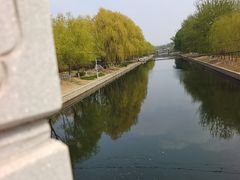 -大望京公园