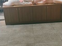 -呷哺呷哺(凯旋广场店)
