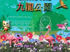 -九龙公园