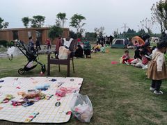 -夏河溪乡野公园