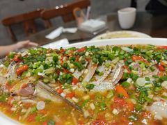 飞虹鱼-飞虹鱼馆(春华路店)