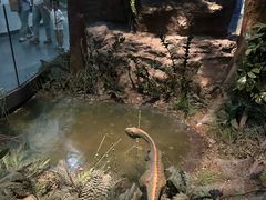 -浙江自然博物院(杭州馆)