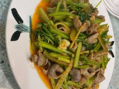 麦芹炒鱼肚-潮汕铺老店(甜水井店)