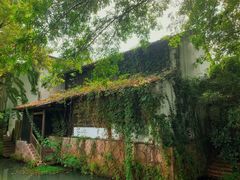 -西溪国家湿地公园