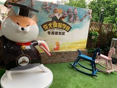 -柴犬高等学院·狗咖·柴犬售卖·宠物训练