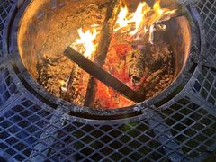 -二荆条·蜀鲜汇城市森林火锅