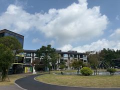 -黄海国家森林公园