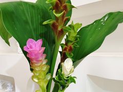 -森野花艺培训·企业团建活动沙龙