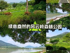 -风云岭森林公园