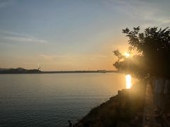 -望湖烤鱼