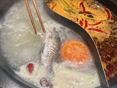 -老夏老火锅(西安南路总店)