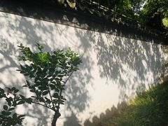 -秋霞圃