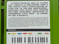 -武汉动物园