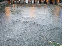 -捞沙巷