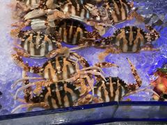 -瑞德姆美人鱼海底演艺主题餐厅(亚龙湾店)