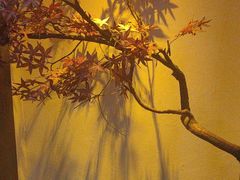 -解家河南菜(金水路店)