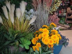 -双季花艺园艺市场(浦东店)