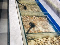 -火锅岛潮牌自助餐厅(天津天佑城店)