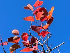 -北京西山国家森林公园