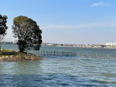 -鹅湖玫瑰文化园