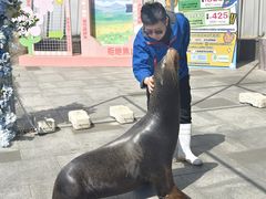 -烟台海昌鲸鲨海洋公园