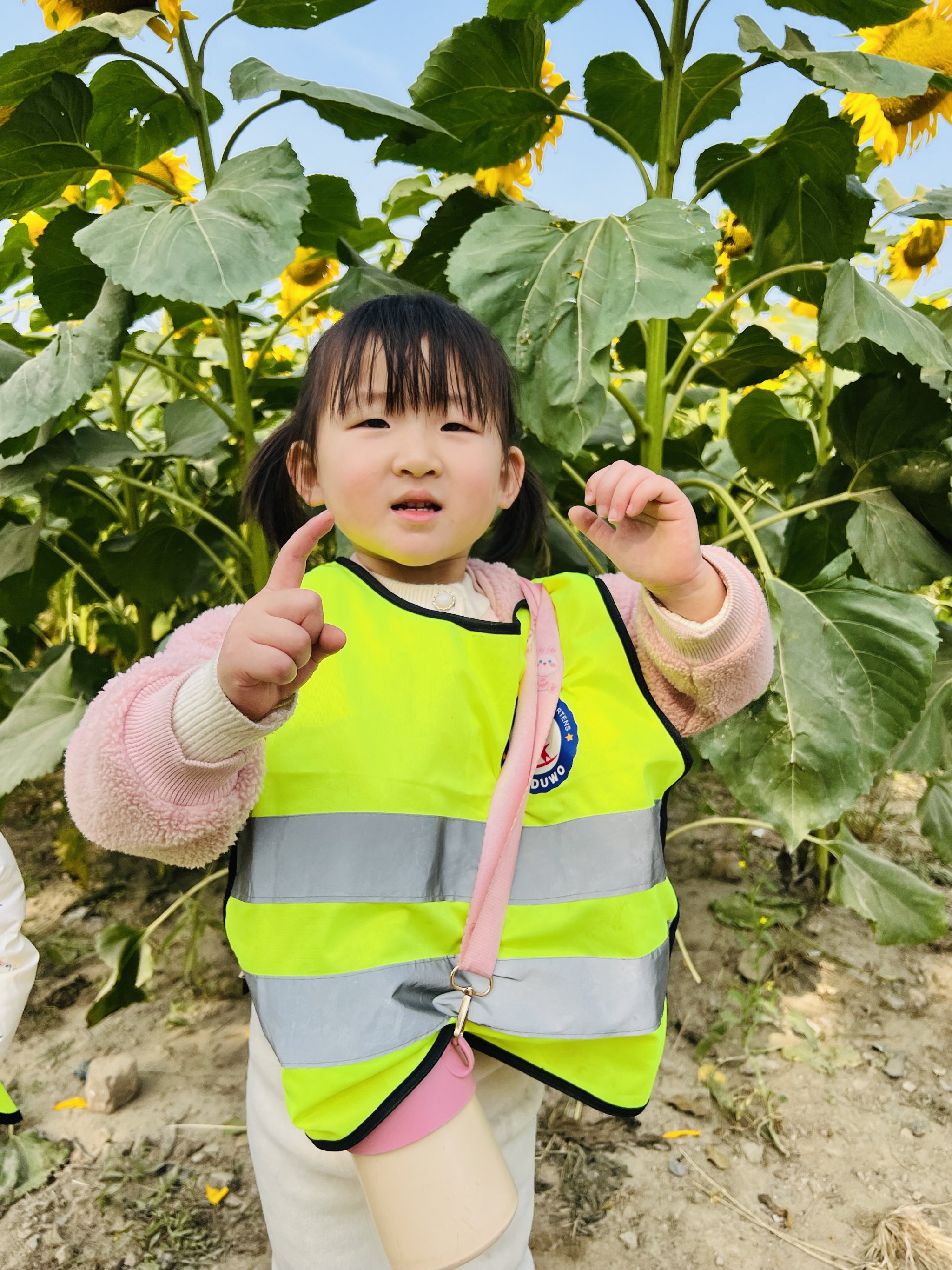 丰南向日葵幼儿园图片