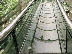-南丹山森林王国
