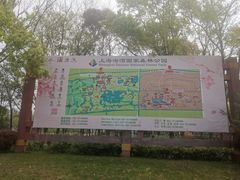 -上海海湾国家森林公园