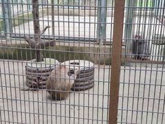 -宿豫区运河湾森林动物园