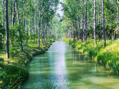 -合肥滨湖国家森林公园