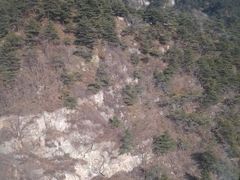 -泰山风景名胜区-虎山公园