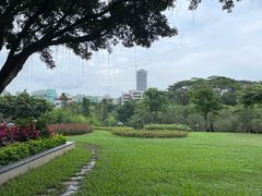 -深圳龙潭公园